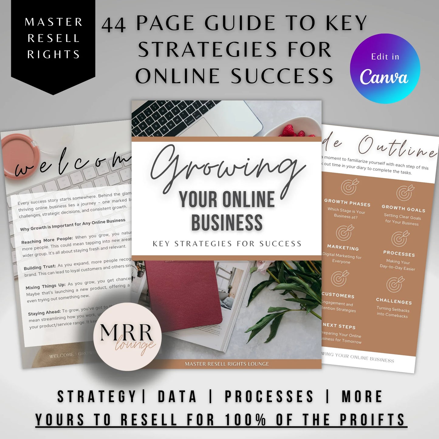 How To Grow Your Online Business with MRR