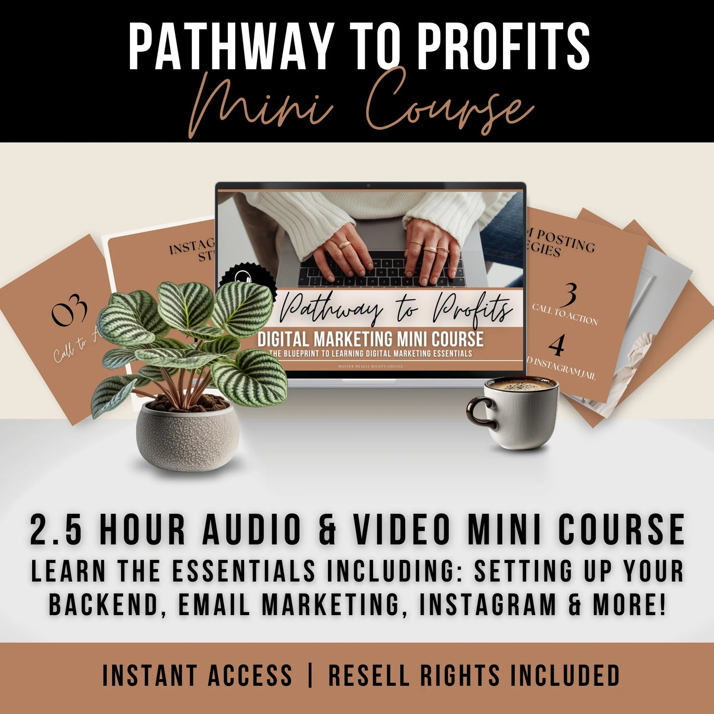 Pathway To Profits: Digital Marketing Mini Course